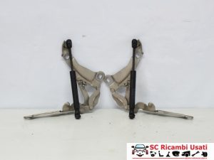 Cerniere Cofano Anteriore Mini Cooper R56 2751203 2751204