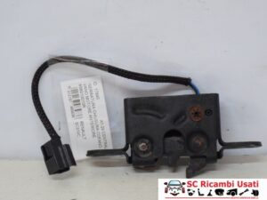 Serratura Cofano Motore Anteriore Renault Scenic 3 656010010R