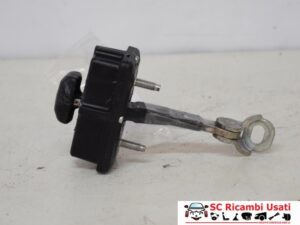 Tirante Porta Anteriore Fiat Punto Evo 51961550