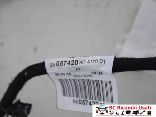 Cavo Cablaggio Porta Anteriore Dx Peugeot 208 9805742080