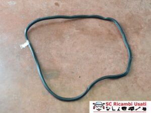 Guarnizione Porta Posteriore Vw Tiguan 5N0867913