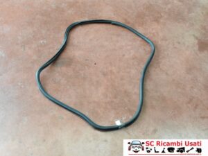 Guarnizione Porta Posteriore Vw Tiguan 5N0867913