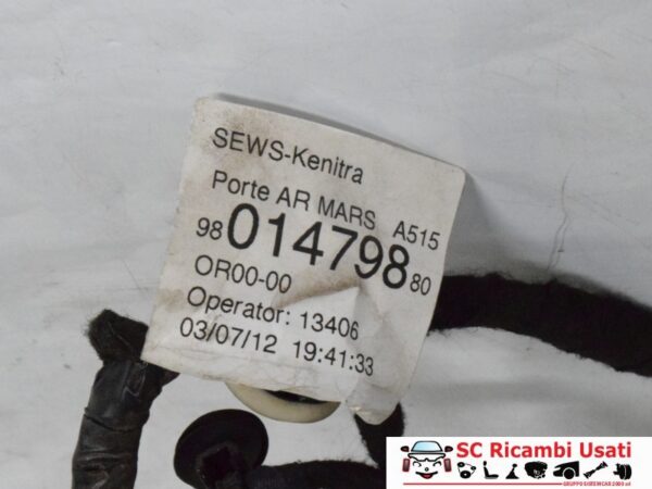 Cablaggio Porta Posteriore Destra Citroen C3 9801479880