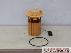 Pompa Gasolio Citroen C3 1.6 Hdi 9685044780