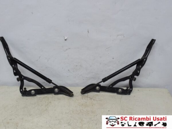 Cerniere Cofano Posteriore Bmw Serie 3 E90  7060627 7060628