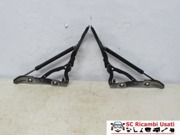 Cerniere Cofano Posteriore Bmw Serie 3 E90  7060627 7060628