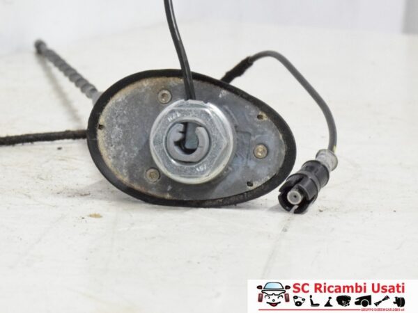 Antenna Autoradio Peugeot 207