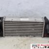 Intercooler Fiat New Panda 1.3 Multijet