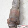 Sonda Lambda Fiat New Panda 1.2 Benzina 55249875