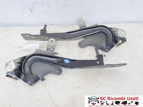 Cerniere Cofano Anteriore Renault Scenic 3 654010004R 654000004R