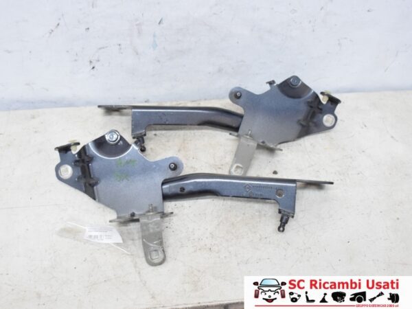 Cerniere Cofano Anteriore Renault Scenic 3 654010004R 654000004R