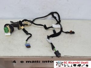 Cablaggio Porta Anteriore Destra Peugeot 207 9670350180