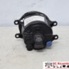 Fendinebbia Destro Toyota Rav 4 812100W050