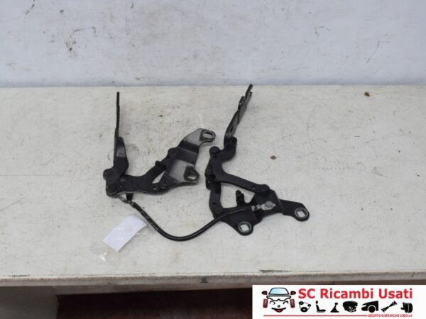 Cerniere Cofano Anteriore Bmw Serie 3 E90 7115263 7115264