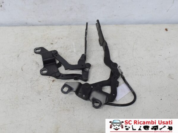 Cerniere Cofano Anteriore Bmw Serie 3 E90 7115263 7115264